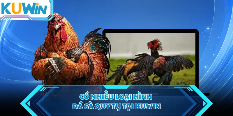 co nhieu loai hinh da ga quy tu tai kuwin