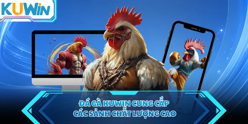 da ga kuwin cung cap cac sanh chat luong cao